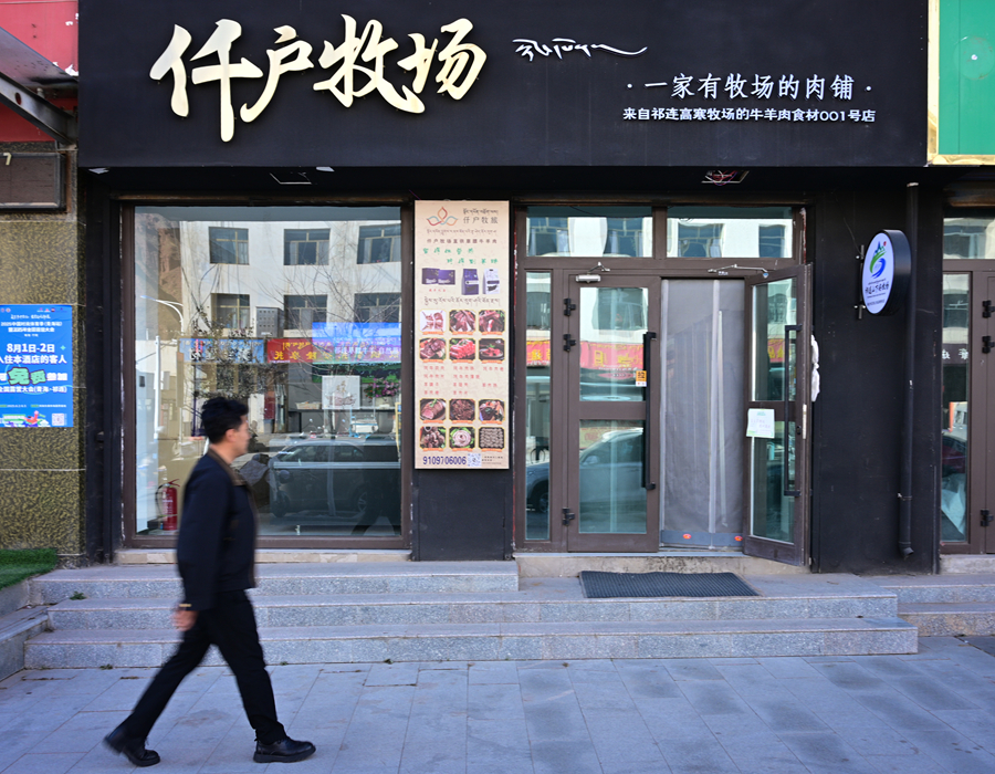 祁连山下的“新牧歌”