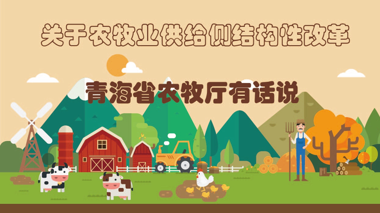 關于農牧業供給側結構性改革 青海農牧廳有話說