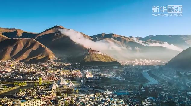 衛星新聞丨玉樹大&ldquo;樹&rdquo;據