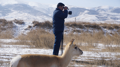 &ldquo;1個&rdquo;和&ldquo;66個&rdquo;：青海湖畔特別的&ldquo;團圓&rdquo;