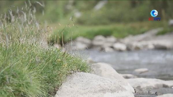 全球連線｜三江源國家公園氣候暖濕化明顯 生態持續向好