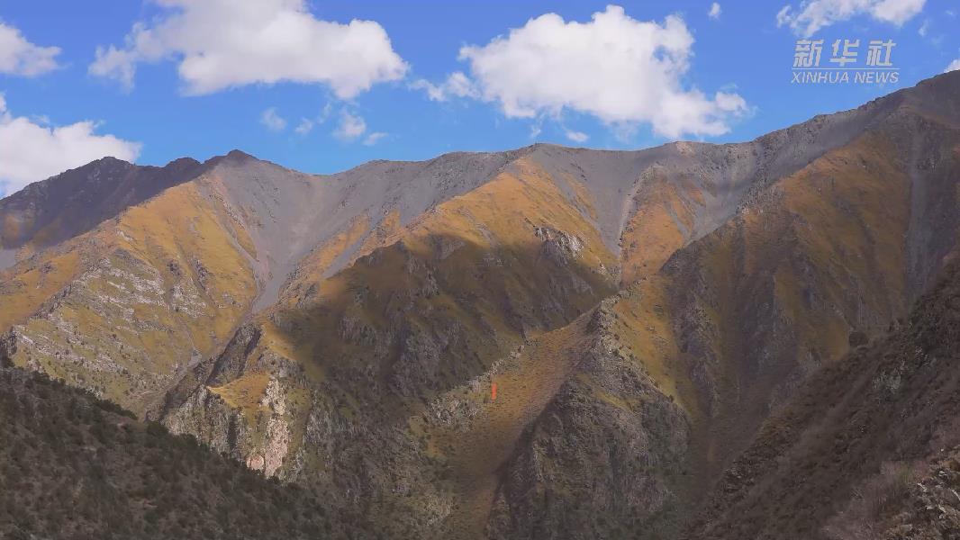 4362張照片！他們在這里堅持10年開展雪豹種群動態研究