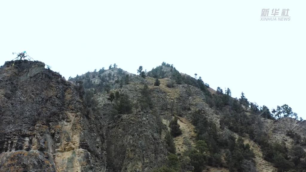 青海黃南：黃河上游水源涵養林區生態逐步向好