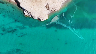 青海湖：風光壯美鳥翩躚